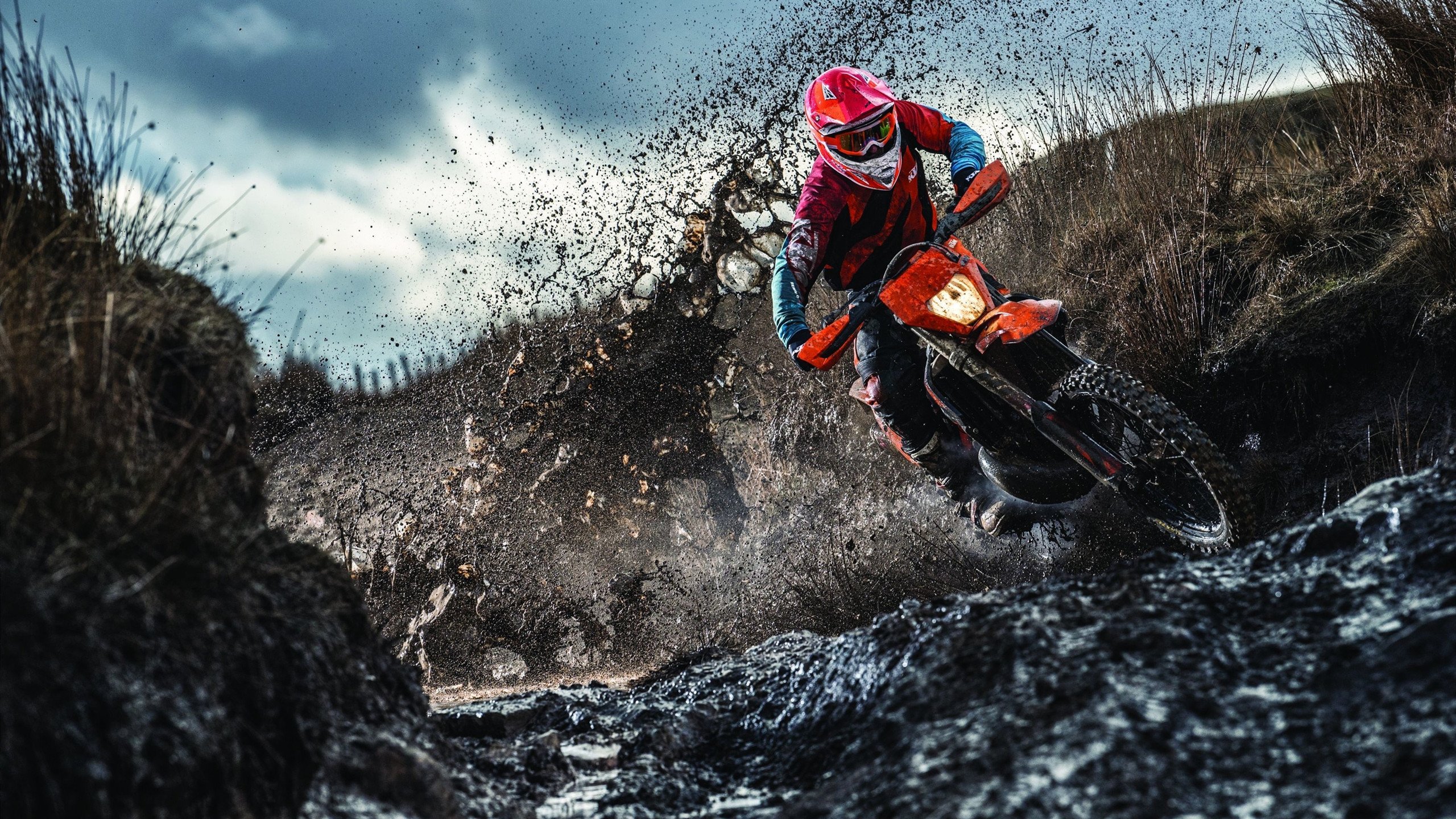 《女性电竞崛起：粉丝和选手共同撑起一个新局面》